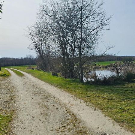 Au Petit Paradis Sainte-Gauburge-Sainte-Colombe Екстериор снимка