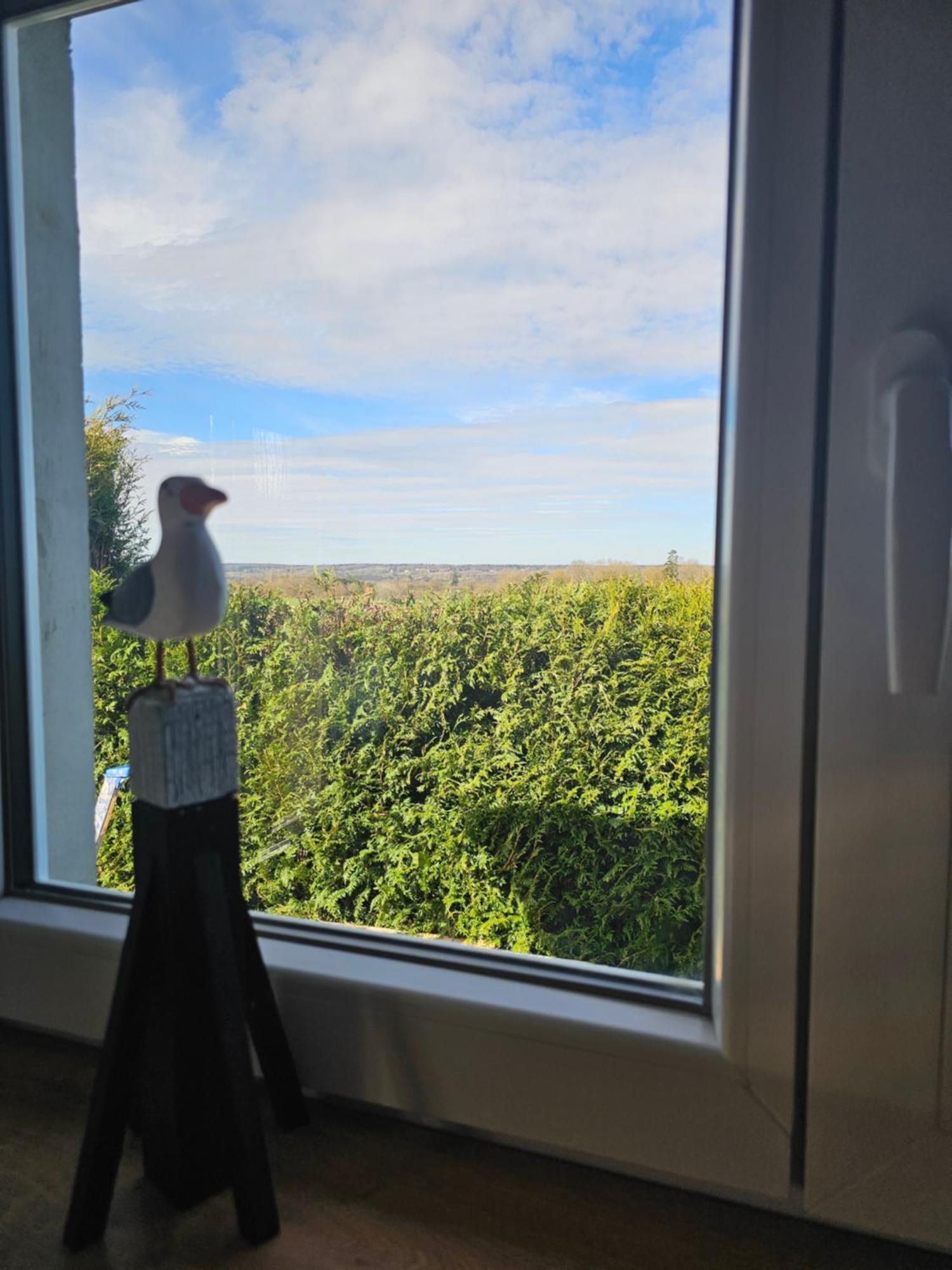 Au Petit Paradis Sainte-Gauburge-Sainte-Colombe Екстериор снимка